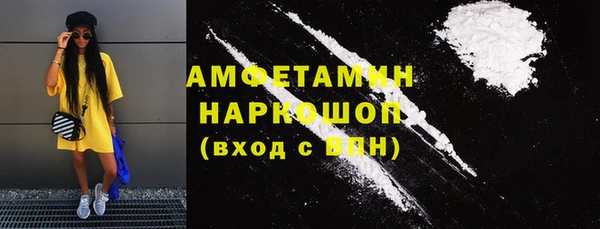 индика Алексин