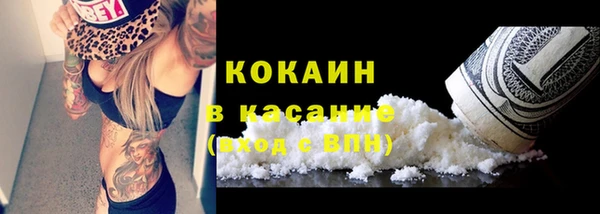 индика Алексин