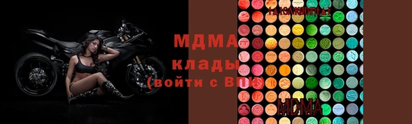 индика Алексин