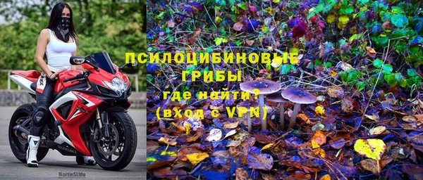индика Алексин