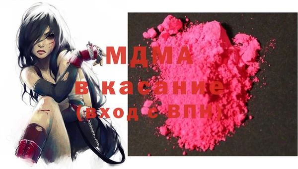 индика Алексин