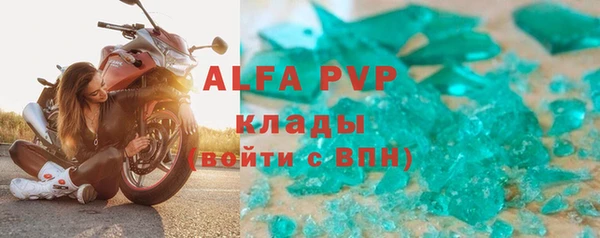 индика Алексин