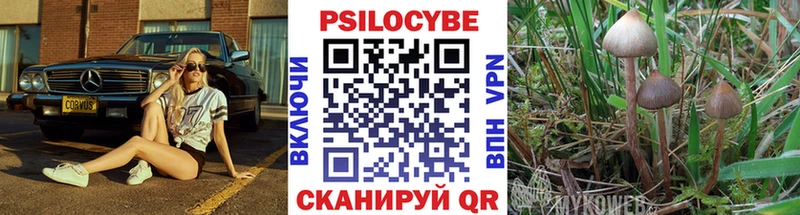 Галлюциногенные грибы мухоморы  blacksprut зеркало  Дудинка 